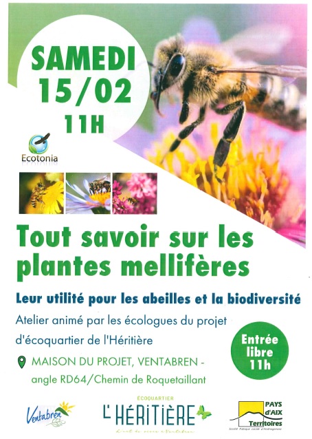 Atelier plantes mellifères