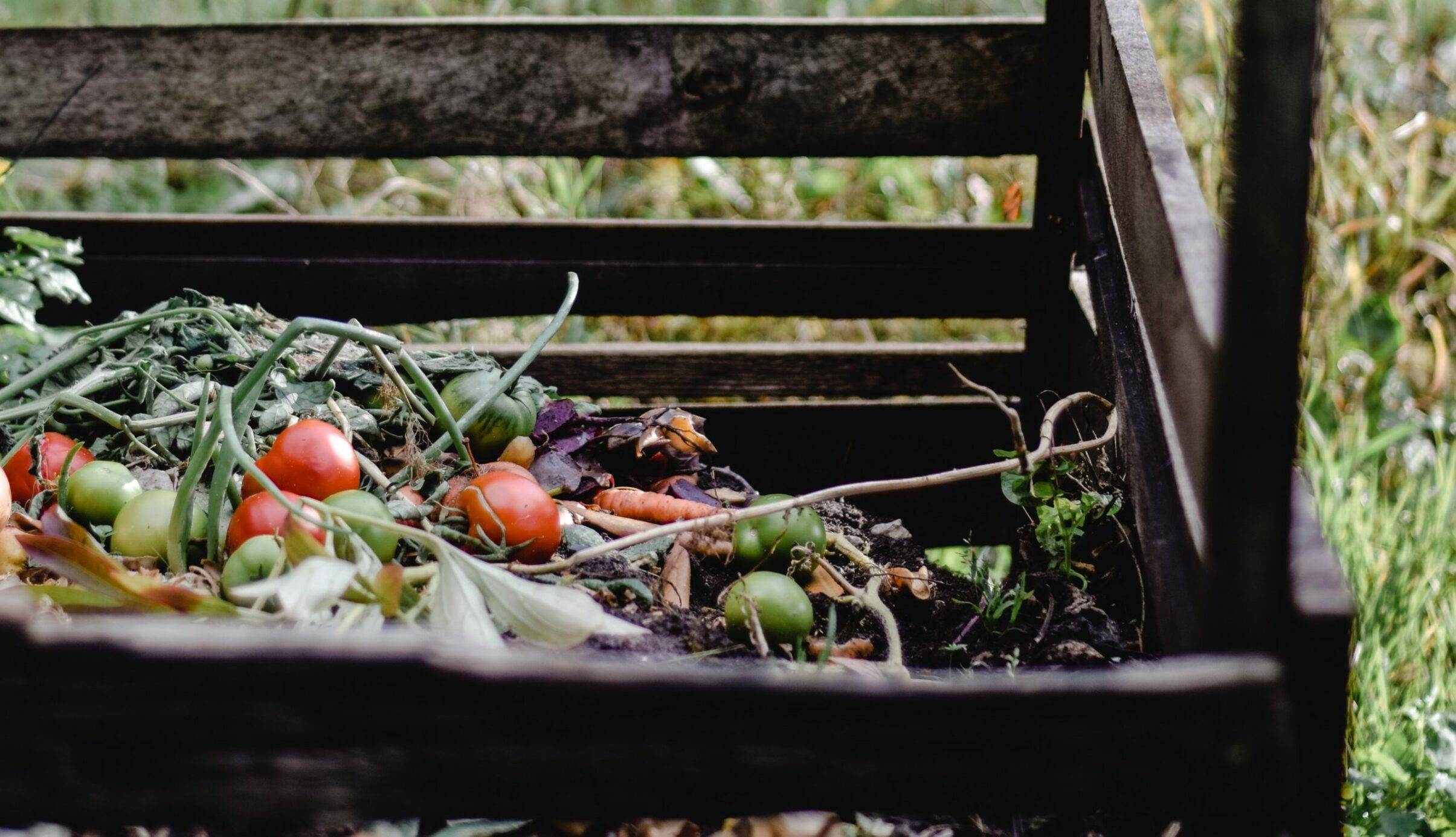 Peut-on brûler les déchets verts dans son jardin ?