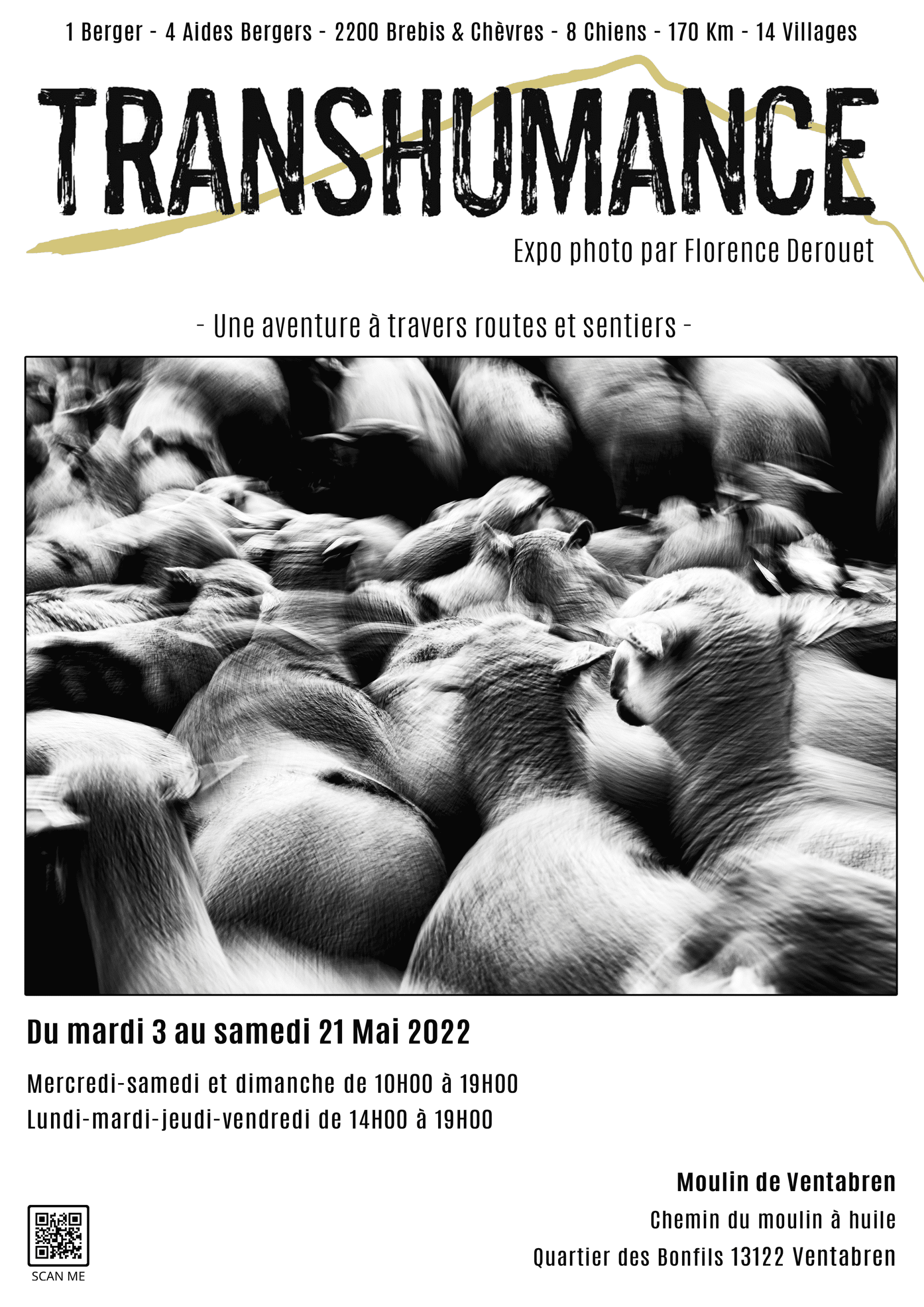 Exposition Transhumance